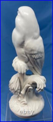 Meissen porcelain blanc de chine bird Falcon Parrot figurine 8 white on white