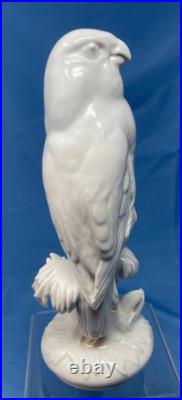 Meissen porcelain blanc de chine bird Falcon Parrot figurine 8 white on white