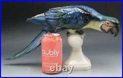 Mid Century Royal Dux Porcelain Blue Macaw Bird Statue Figurine 16 1/2