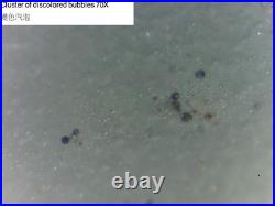 Ming Dynasty Doucai Birds Stem Cup Chenghua Mark and Period 3