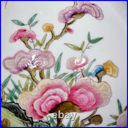 Nice Chinese Antqiue Art Hand Famille Rose Porcelain Bird YuHuChun Vase