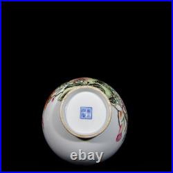 Nice Chinese Antqiue Art Hand Famille Rose Porcelain Bird YuHuChun Vase