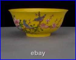 Nice Chinese Art Hand Painting Famille Rose Porcelain Bird Bowl