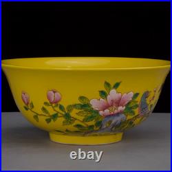 Nice Chinese Art Hand Painting Famille Rose Porcelain Bird Bowl