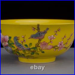 Nice Chinese Art Hand Painting Famille Rose Porcelain Bird Bowl