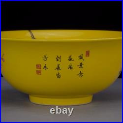 Nice Chinese Art Hand Painting Famille Rose Porcelain Bird Bowl