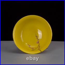 Nice Chinese Art Hand Painting Famille Rose Porcelain Bird Bowl