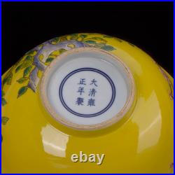 Nice Chinese Art Hand Painting Famille Rose Porcelain Bird Bowl