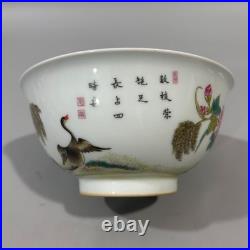 Nice Chinese Art Handmade Painting Famille Rose Porcelain Bird Bowl