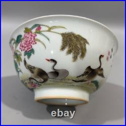 Nice Chinese Art Handmade Painting Famille Rose Porcelain Bird Bowl
