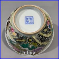 Nice Chinese Art Handmade Painting Famille Rose Porcelain Bird Bowl
