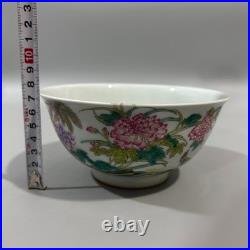 Nice Chinese Art Handmade Painting Famille Rose Porcelain Bird Bowl