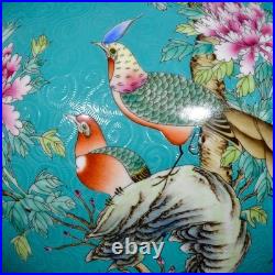 Nice Collectable Art Hand Painting Dou Polychrome Porcelain Flowers Bird Vase