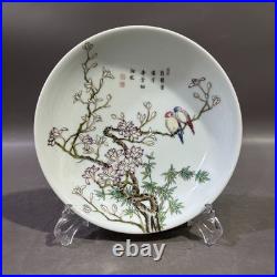 Nice Collectable Art Hand Painting Famille Rose Porcelain Bird Plate