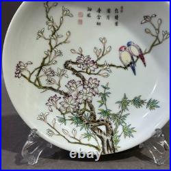 Nice Collectable Art Hand Painting Famille Rose Porcelain Bird Plate