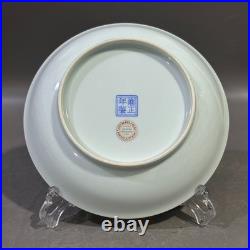 Nice Collectable Art Hand Painting Famille Rose Porcelain Bird Plate