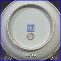 Nice Collectable Art Hand Painting Famille Rose Porcelain Bird Plate