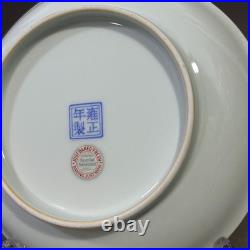 Nice Collectable Art Hand Painting Famille Rose Porcelain Bird Plate