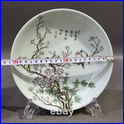 Nice Collectable Art Hand Painting Famille Rose Porcelain Bird Plate