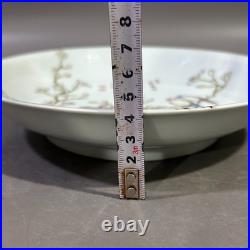 Nice Collectable Art Hand Painting Famille Rose Porcelain Bird Plate