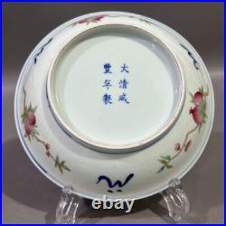 Nice Collectable Art Hand Painting XianFeng Famille Rose Porcelain Bird Plate