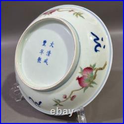 Nice Collectable Art Hand Painting XianFeng Famille Rose Porcelain Bird Plate