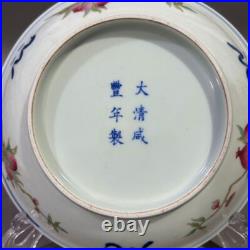 Nice Collectable Art Hand Painting XianFeng Famille Rose Porcelain Bird Plate