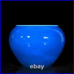 Nice Collectable Art Handmade Painting Blue Glaze Porcelain Bird Wash