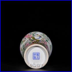 Nice Collectable Art Handmade Painting Famille Rose Porcelain Bird Mei Vase