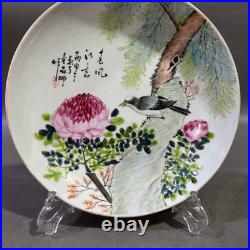 Nice Collectable Art Handmade Painting Famille Rose Porcelain Bird Plate