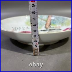 Nice Collectable Art Handmade Painting Famille Rose Porcelain Bird Plate