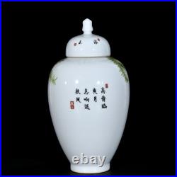 Nice Collectable Chinese Hand Famille Rose Porcelain Bird Jar