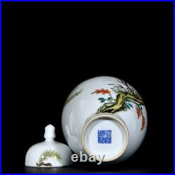 Nice Collectable Chinese Hand Famille Rose Porcelain Bird Jar