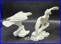 Noble Conqueror & Silent Hunter Jonathan Bronson Franklin Porcelain Bird Statue