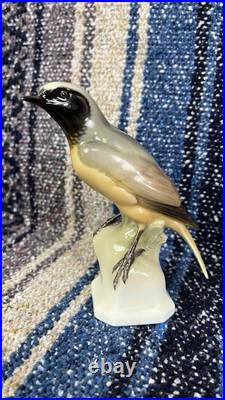 Nymphenburg figurine Bird Porcelain 323 Limited Edition