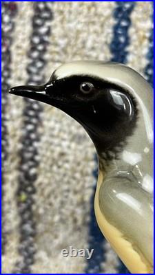 Nymphenburg figurine Bird Porcelain 323 Limited Edition