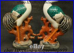 Old China Colour Porcelain Fengshui longevity Bird Red-Crowned Crane Statue Pair