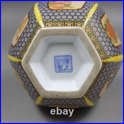 Old Chinese Enamel Porcelain flowers birds Hexagonal vase