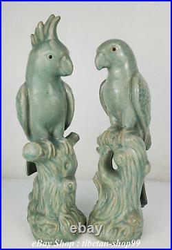 Old Chinese Ru Kiln Porcelain Feng Shui poll parrot popinjay Birds Statue Pair