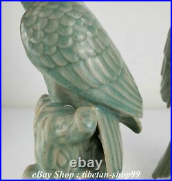 Old Chinese Ru Kiln Porcelain Feng Shui poll parrot popinjay Birds Statue Pair