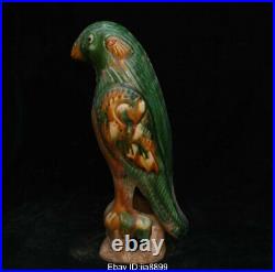 Old Chinese Tang San Cai Pottery Porcelain Dynasty Animal Bird Parrot Sculpture