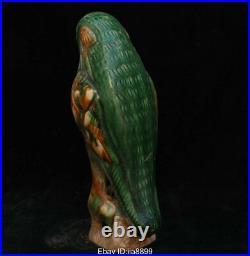 Old Chinese Tang San Cai Pottery Porcelain Dynasty Animal Bird Parrot Sculpture