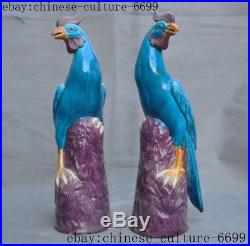 Old Chinese wucai porcelain glaze Feng Shui auspicious phoenix bird statue pair