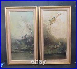 Ornithology Bird Studies on Porcelain Circa 1870