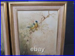 Ornithology Bird Studies on Porcelain Circa 1870