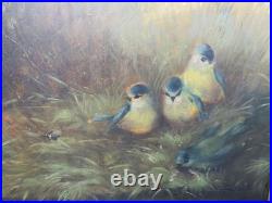 Ornithology Bird Studies on Porcelain Circa 1870