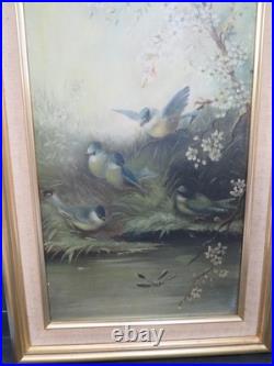 Ornithology Bird Studies on Porcelain Circa 1870