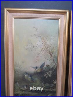 Ornithology Bird Studies on Porcelain Circa 1870