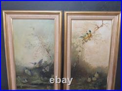 Ornithology Bird Studies on Porcelain Circa 1870