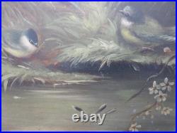 Ornithology Bird Studies on Porcelain Circa 1870